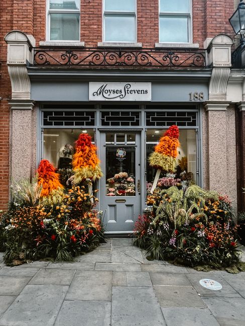The storefront of Moyses Stevens displays vibrant floral arrangements with tall, cone-shaped clouds of orange, yellow, and red flowers, complemented by lush greenery and smaller blooms at the base. Th
